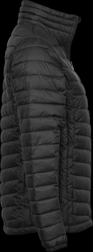 Women's Zepelin Jacket